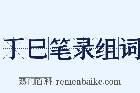 丁巳笔录组词是什么意思的图片